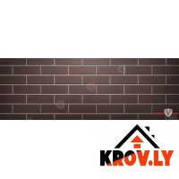 Клинкерный кирпич Керамейя Классик Оникс Пр1 250х120х65 пустотность 36%
