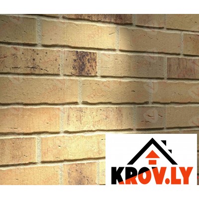 Клинкерный кирпич Feldhaus Klinker Vascu sabiosa ocasa K734